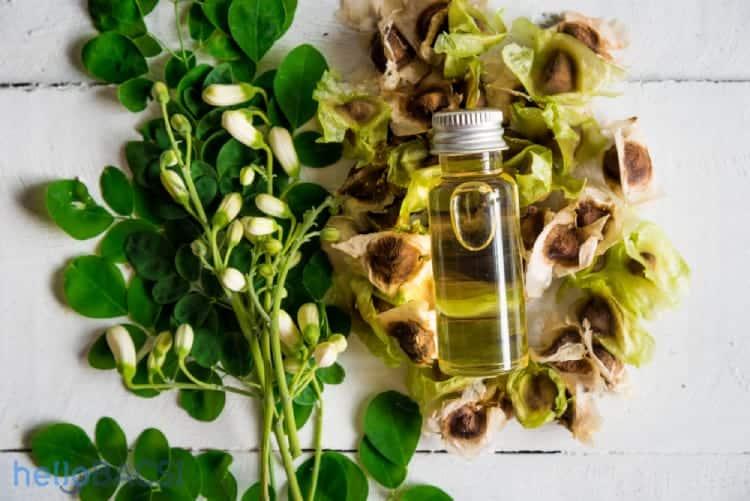 Dầu chùm ngây có nhiều tác dụng hay mà bạn nên thử
