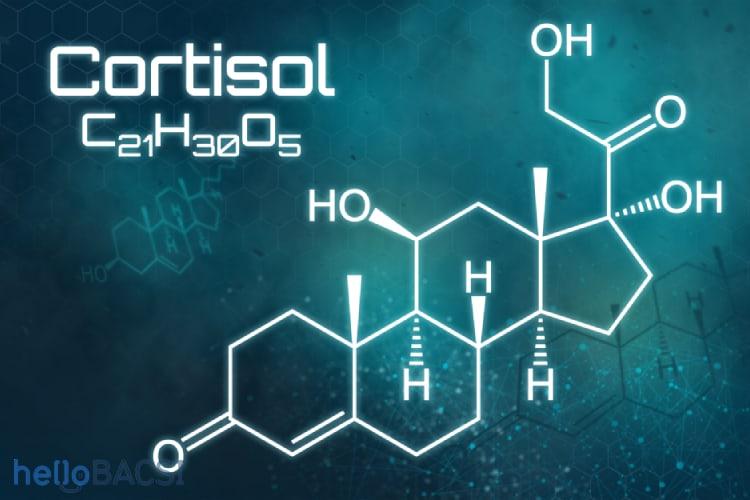 hormone-cortisol