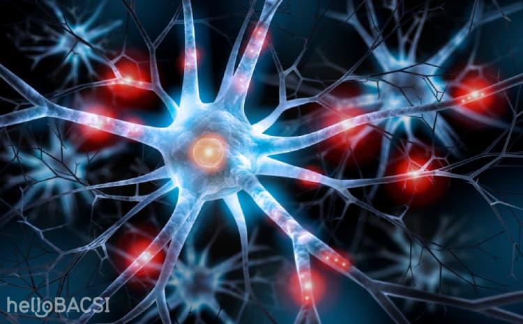 Kích thích thần kinh phế vị: Thêm hy vọng cho bệnh nhân động kinh