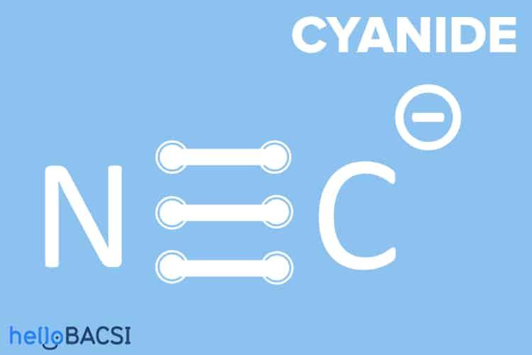 Ngộ độc cyanide