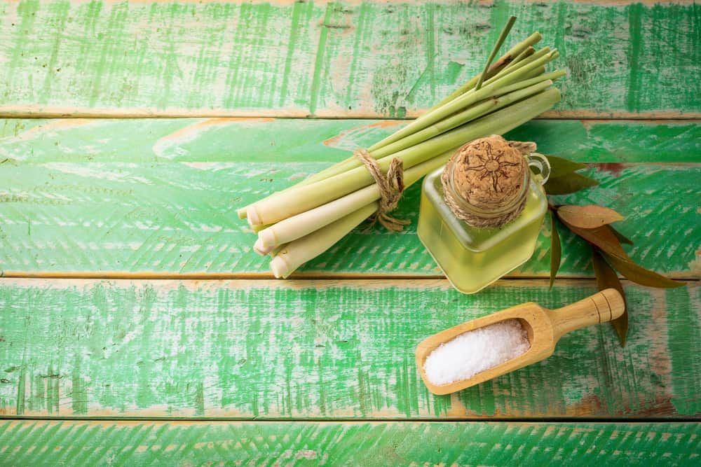 tac-dung-cua-sa-khi-mang-thai