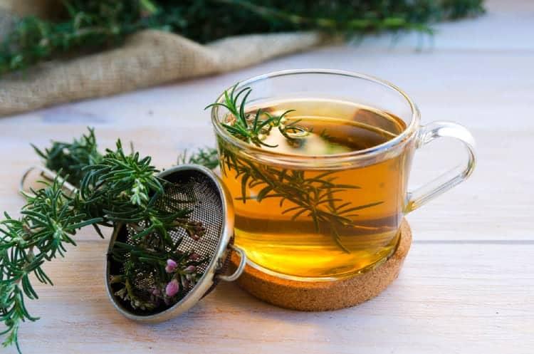 Trà hương thảo: Bảo vệ sức khỏe và sắc đẹp