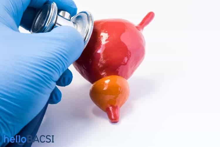 Trào ngược bàng quang niệu quản: Bạn đã nắm rõ thông tin?