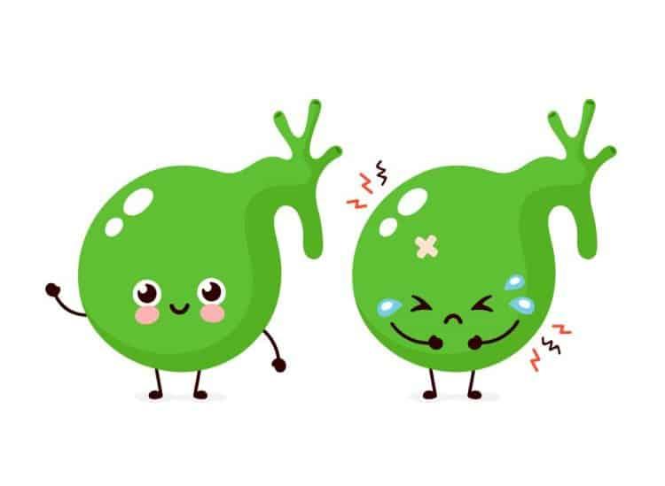 Túi mật và những bệnh lý bạn cần biết