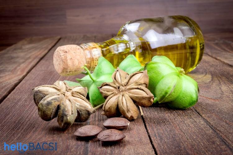Dầu sacha inchi: Tốt cho bạn từ trong ra ngoài
