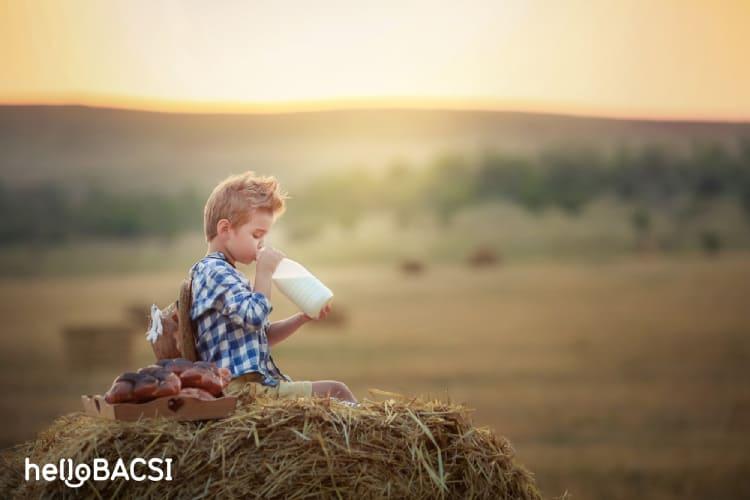 Sữa trâu cũng có thể thay thế... sữa bò