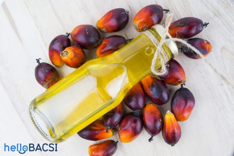 Tác dụng của dầu cọ: Tốt cho sức khỏe, hại môi trường