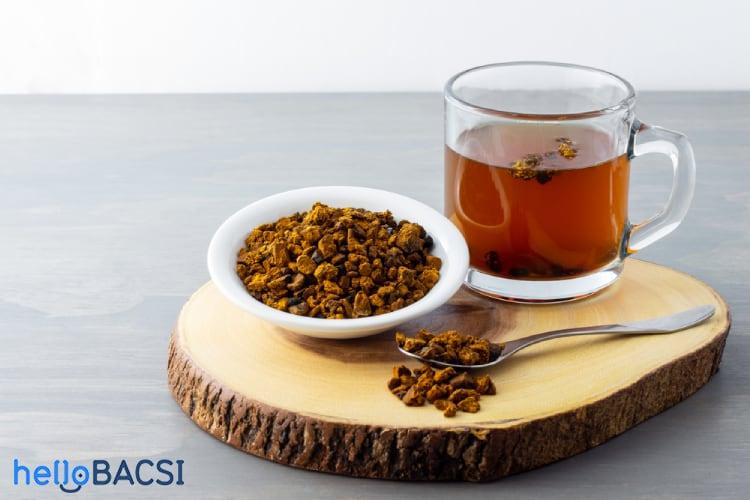 Tác dụng của nấm chaga mà ít ai biết đến
