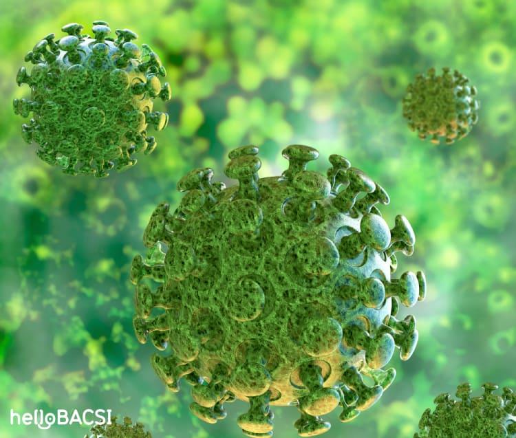 virus-corona-gay-benh-viem-phoi-la