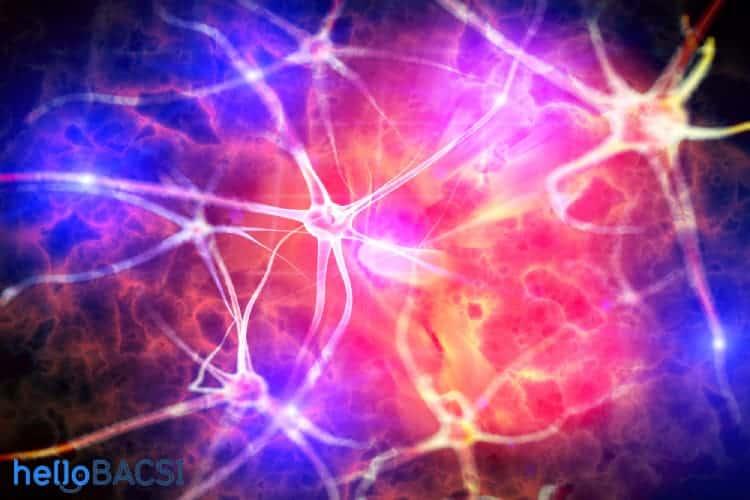 Bệnh lý thần kinh tự trị