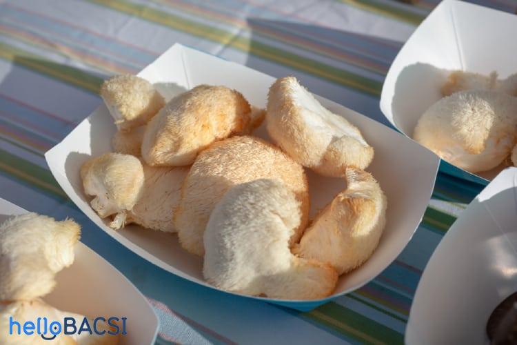 Nấm đầu khỉ: Vị thuốc quý cho nhiều tình trạng sức khỏe