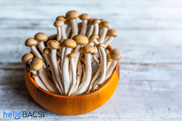 Nấm hải sản (nấm shimeji): Nhiều ưu điểm tốt cho sức khỏe