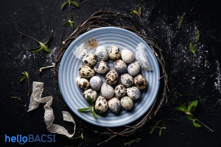 Trứng cút: Giá trị dinh dưỡng tuyệt vời và điều cần lưu ý khi ăn