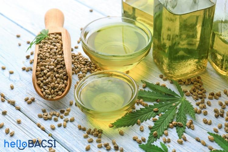 Dầu hạt gai dầu: Nhiều tác dụng hay để khám phá