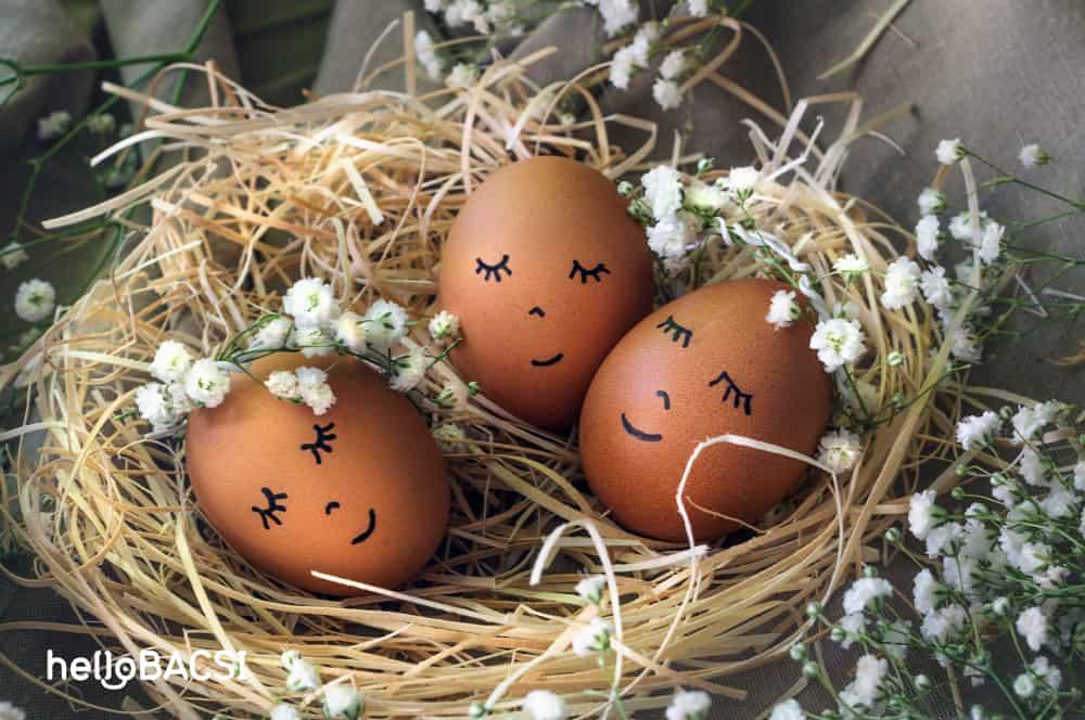 Ăn trứng ung có tốt không? Tìm hiểu ngay!