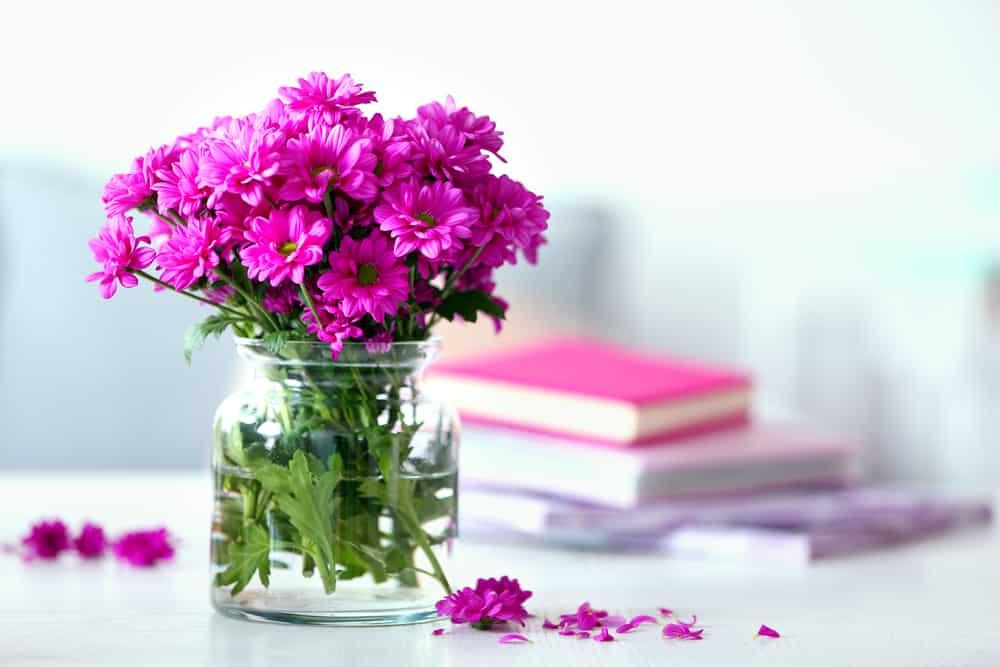 Cách thải độc và thư giãn cơ thể của người Nhật