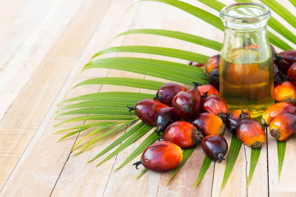 Dầu cọ – “Thủ phạm” trong sữa công thức gây táo bón