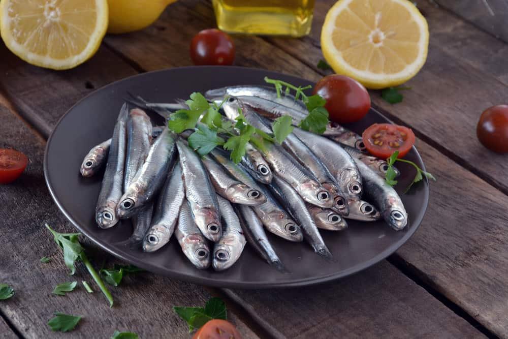 Ngỡ ngàng trước 8 lợi ích của cá cơm với sức khỏe con trẻ