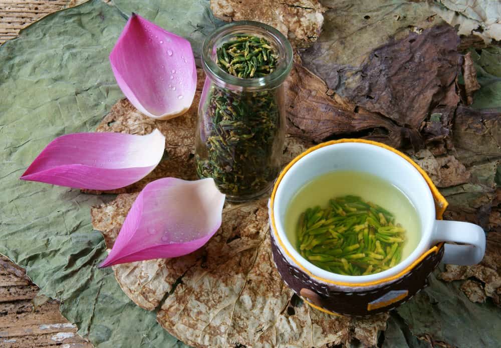 tra-tim-sen-tri-mat-ngu