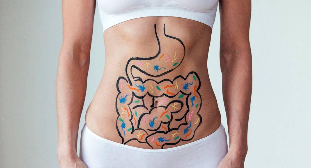 Những thông tin thú vị xoay quanh hệ tiêu hóa ở người bạn đã biết chưa?