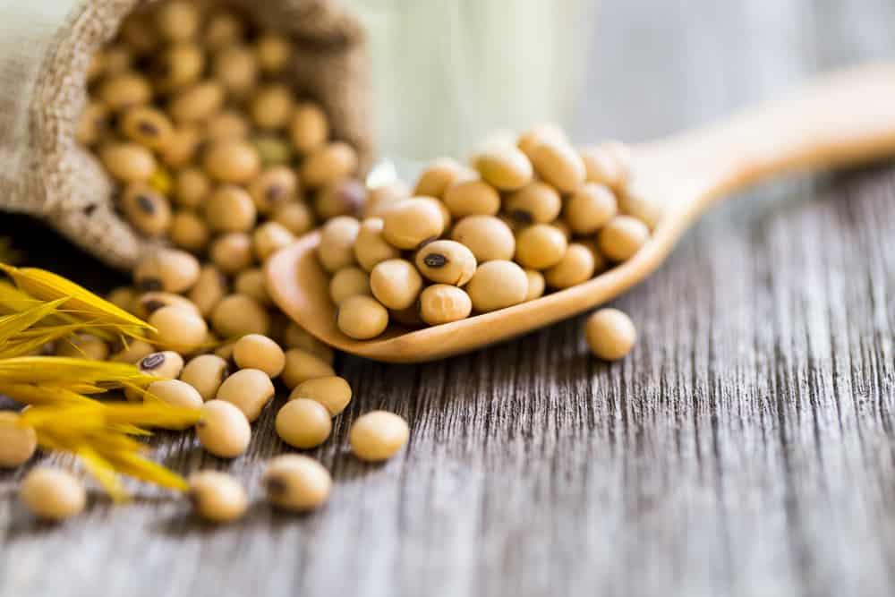 Tinh chất mầm đậu nành có tốt không?