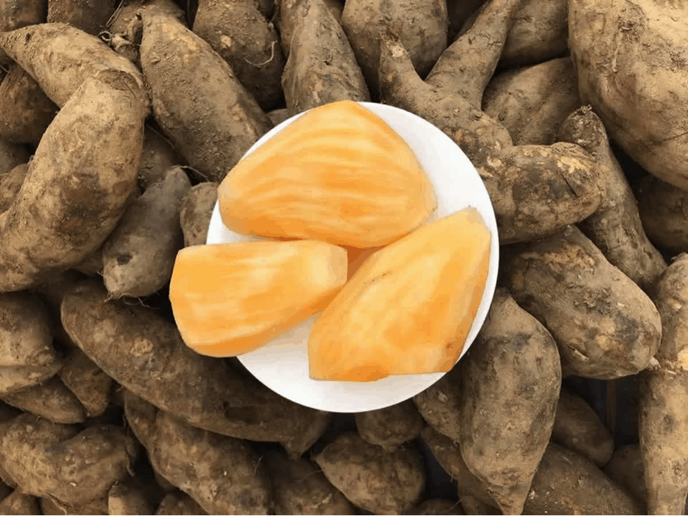 Củ sâm đất có tác dụng gì? Những ai không nên dùng?