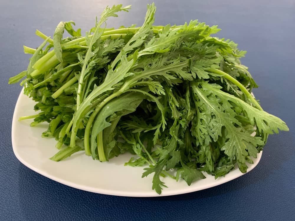 Bà bầu ăn rau tần ô được không? Loại rau này có tốt cho thai kỳ?