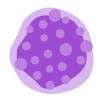 U lympho