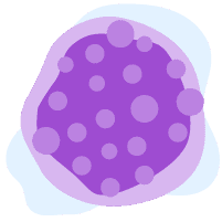 U lympho