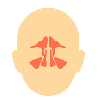Bệnh về mũi