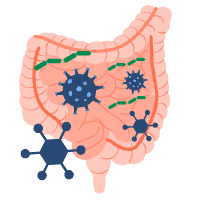 Hội chứng loạn khuẩn ở ruột non