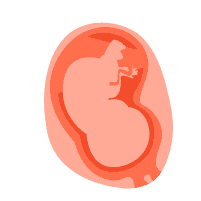Tam cá nguyệt 3 (3 tháng cuối)