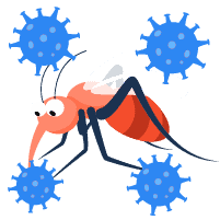 Zika