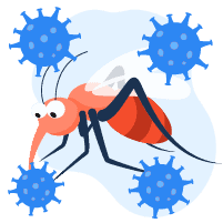 Zika