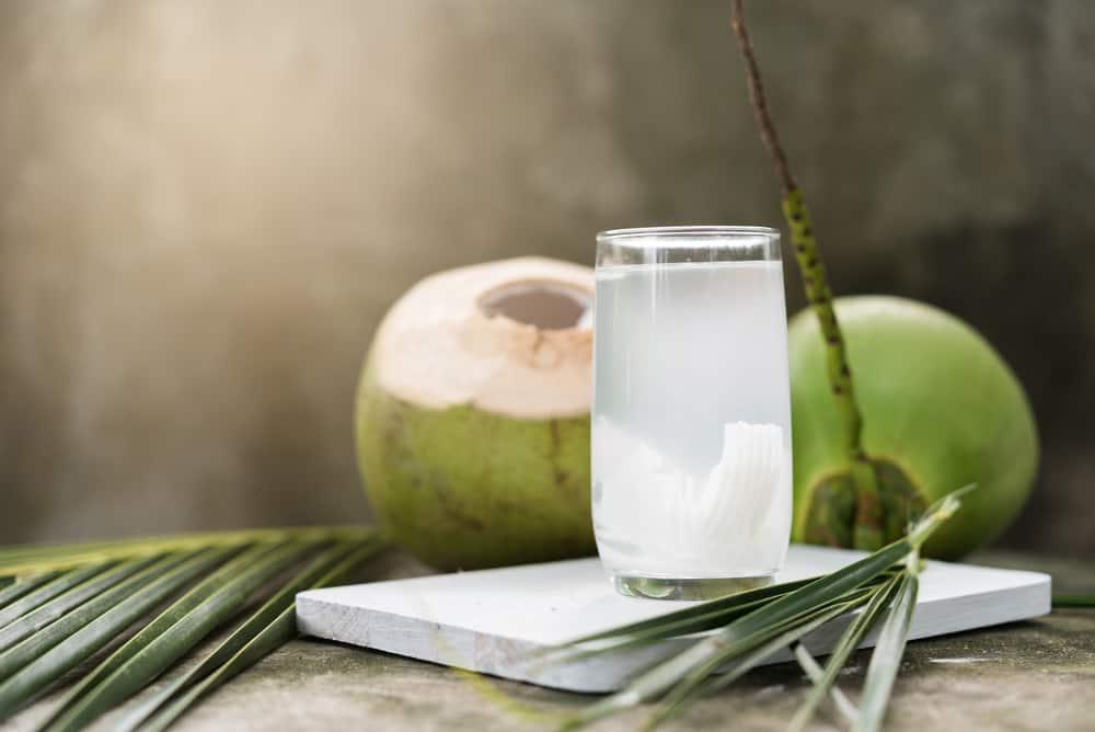 Sốt uống nước dừa được không? Vì sao bị sốt nên uống nước dừa?