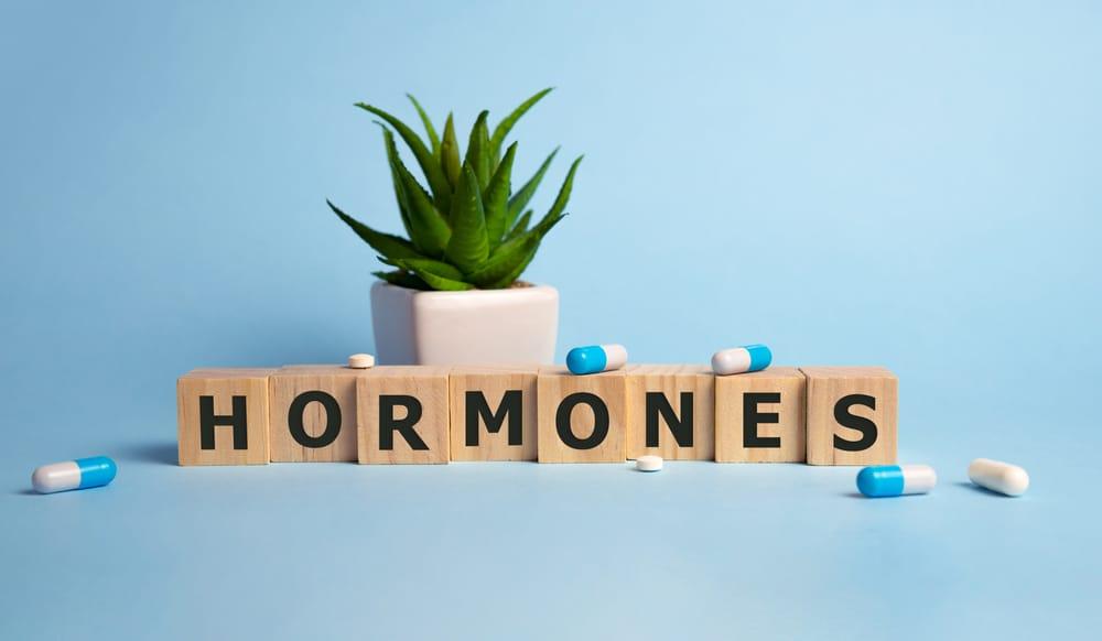 mat-can-bang-hormone