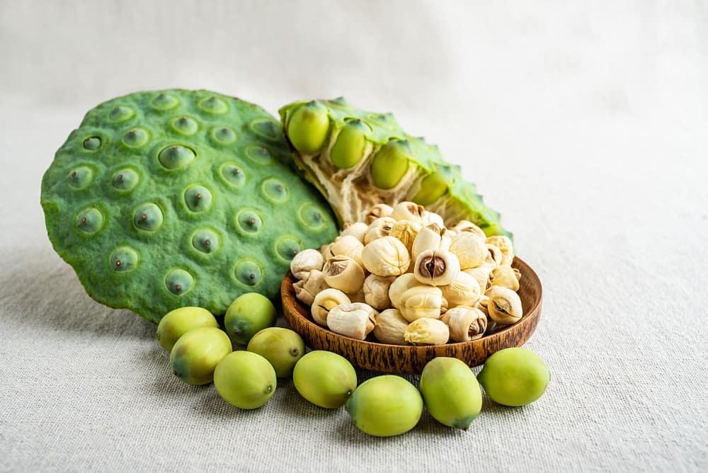 Bật mí cách nấu cháo hạt sen cho bé ăn dặm thơm ngon, đủ dinh dưỡng