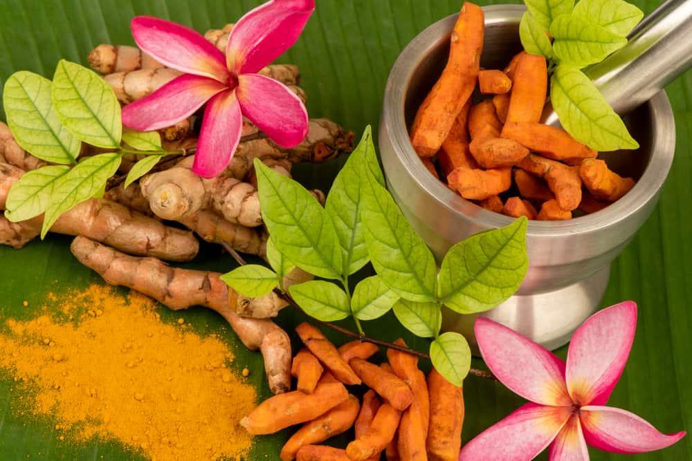 Da đẹp đón Tết với top 5 cách trị thâm mụn bằng nghệ tươi hiệu quả, tiết kiệm