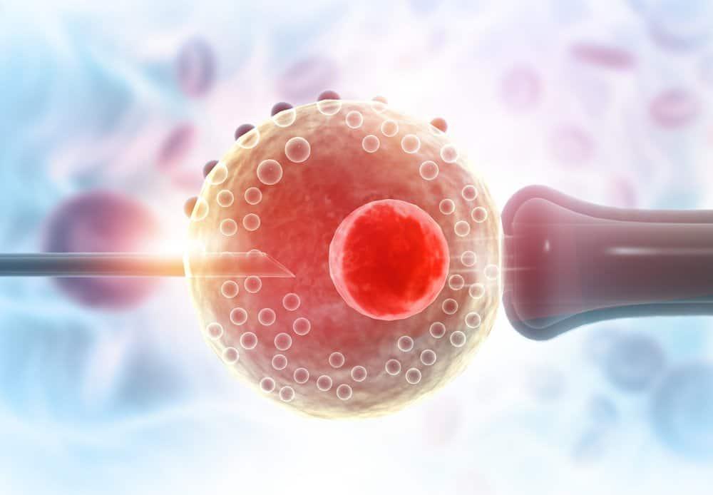 Hỏi đáp bác sĩ: Sau khi chuyển phôi nên làm gì để tăng tỷ lệ thụ thai?