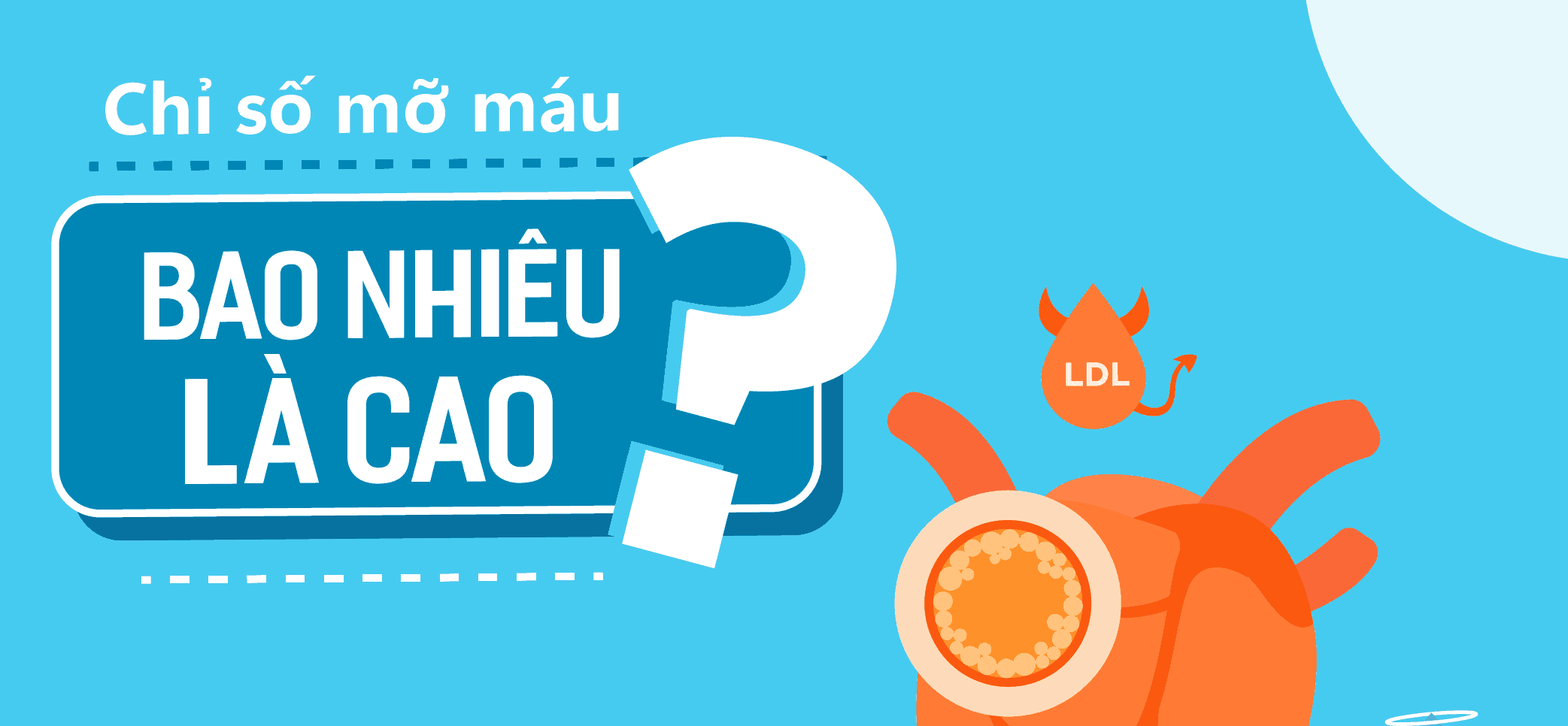 mo-mau-bao-nhieu-la-cao