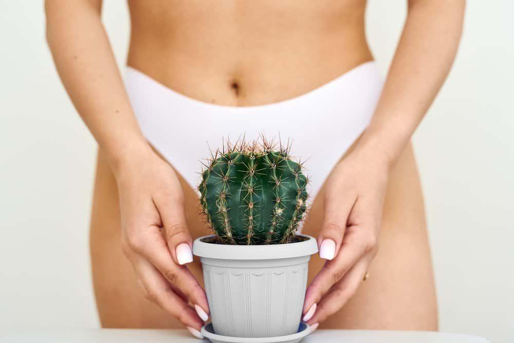 Có nên triệt lông bikini không? Những điều cần biết về triệt lông Bikini vĩnh viễn