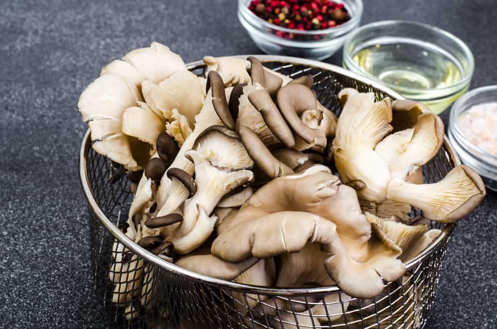 Nấm bào ngư: 6 tác dụng và 5 lưu ý khi sử dụng để không gây hại