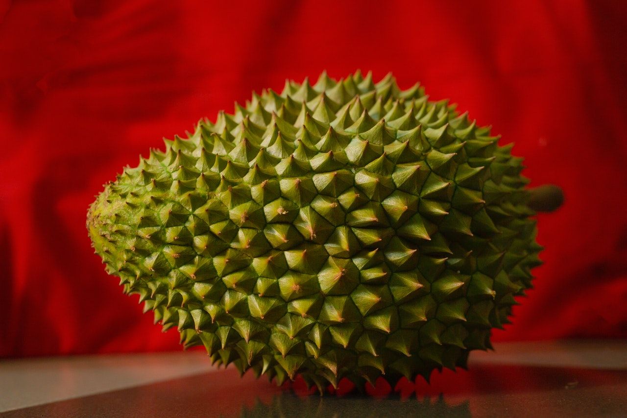 sau-rieng-ky-mon-gi