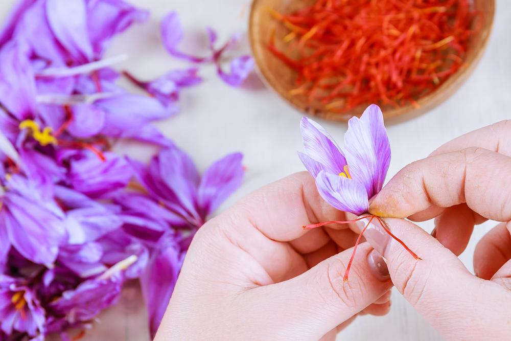 cach-dung-saffron