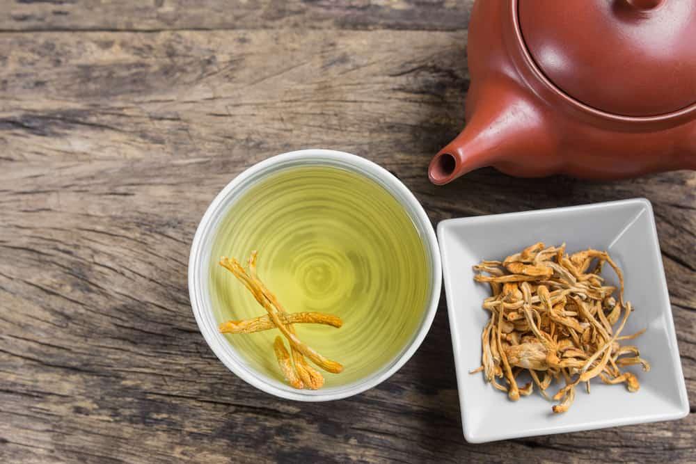 5 cách sử dụng đông trùng hạ thảo tươi và khô hiệu quả