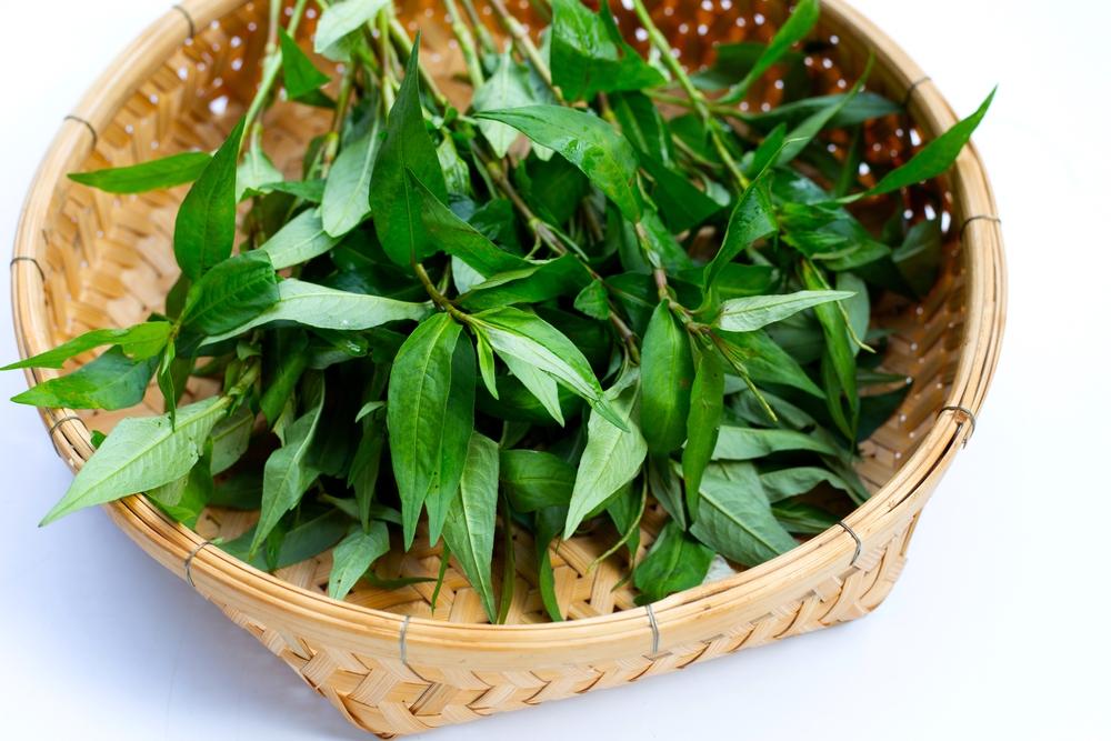 ba-de-an-rau-ram-co-mat-sua-khong