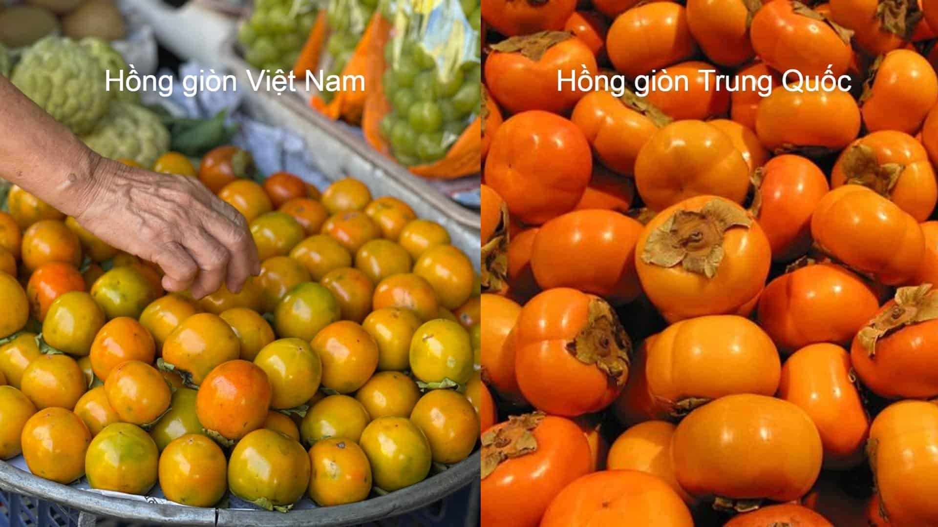 phan-biet-hong-gion