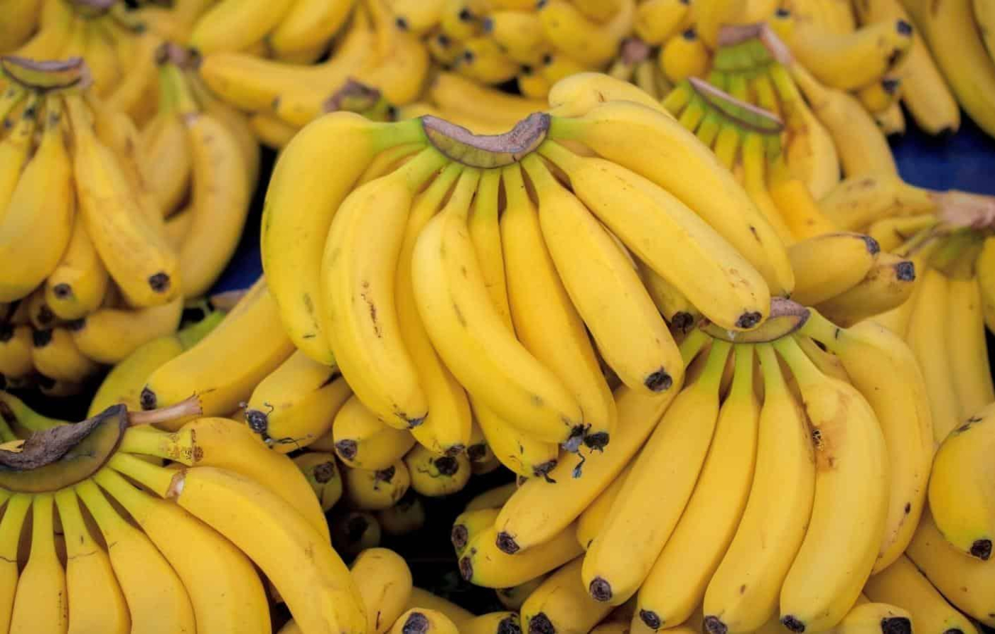 Ăn chuối tiêu có tốt không? TOP 10+ tác dụng của chuối tiêu