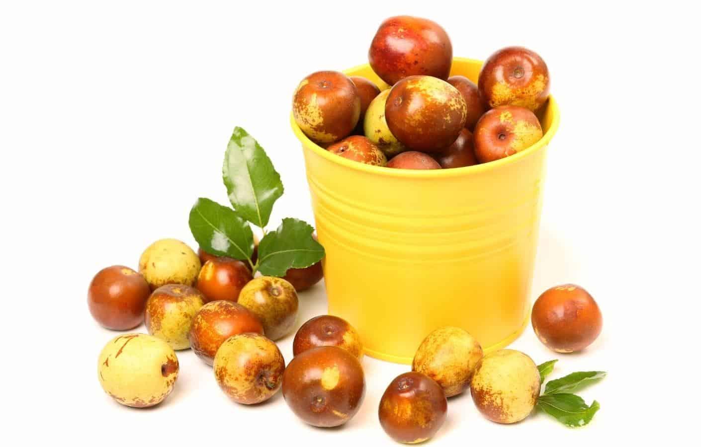 an-tao-do-co-tac-dung-gi