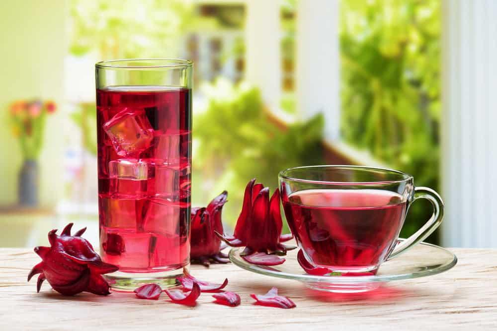 Bí quyết pha trà hoa atiso đỏ (trà hibiscus) thơm ngon, tốt cho sức khỏe
